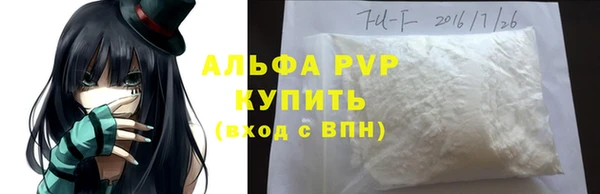 стаф Гусев